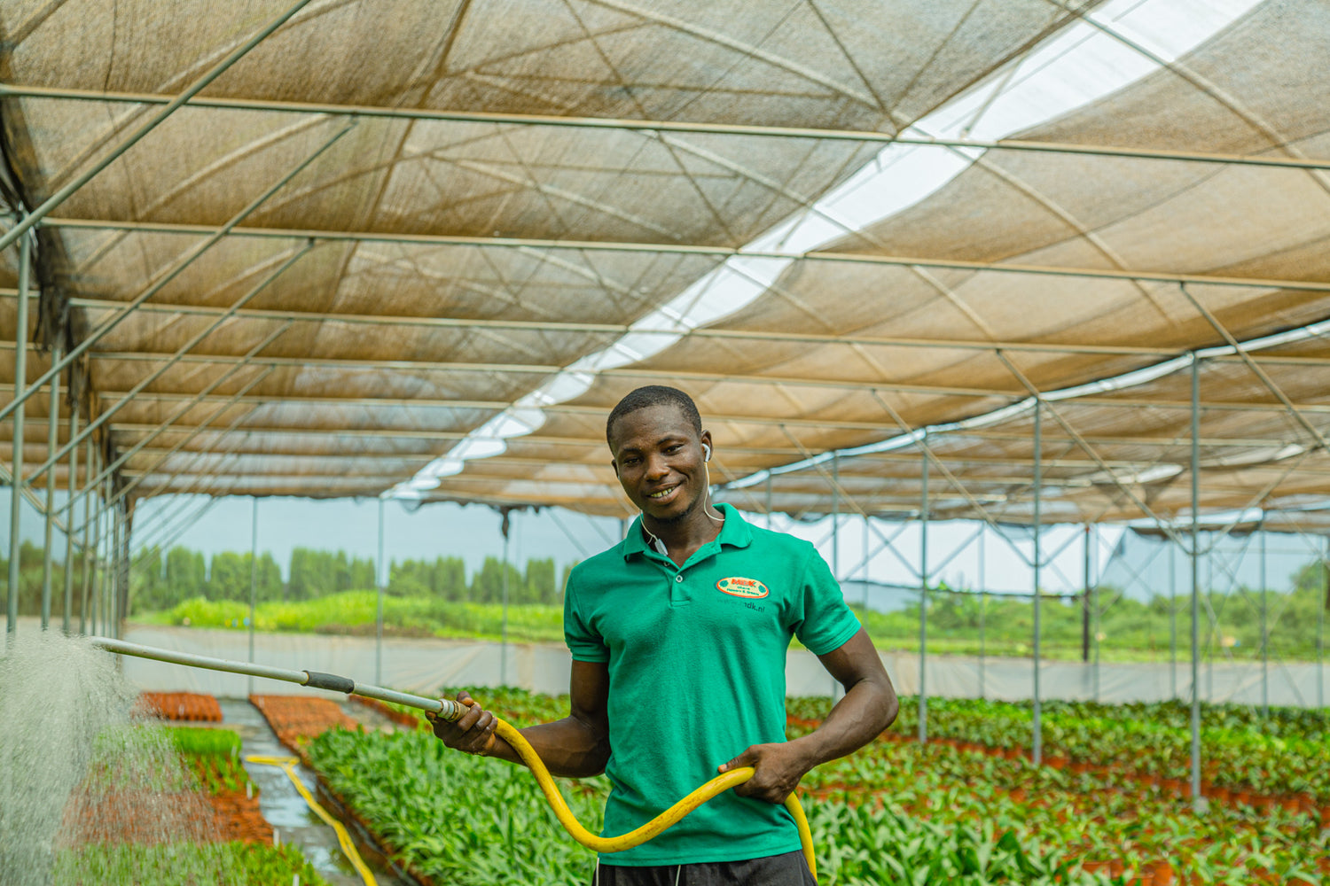 Ghanese man planten aan het besproeien met water.