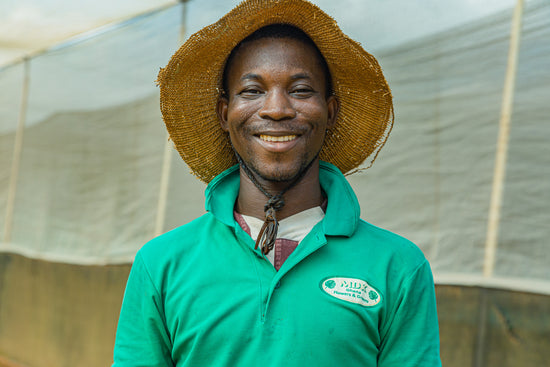Ghanese man werkend bij de MDK kwekerij in Ghana.