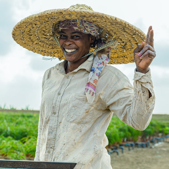 Ghanese vrouw werkend bij de MDK kwekerij in Ghana.