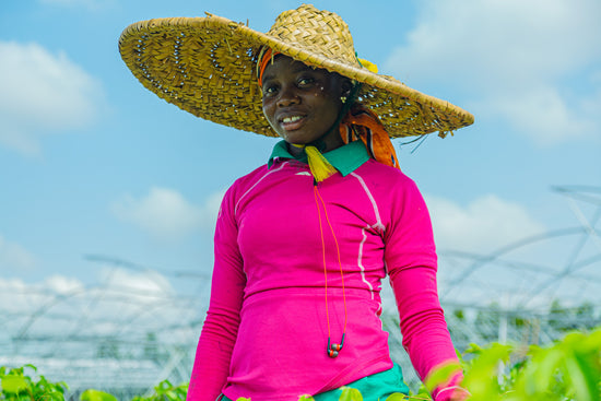 Ghanese vrouw werkend bij de MDK kwekerij in Ghana.