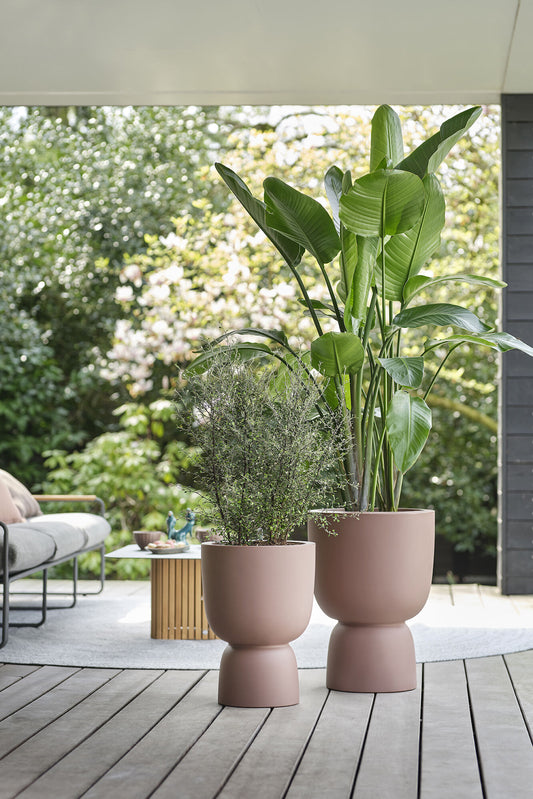 Pure Coupe Balanced Rose Brown