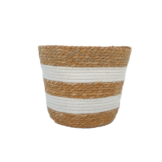 Mand Garis White