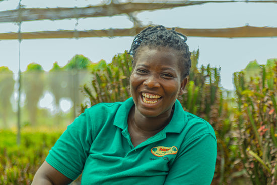 Ghanese vrouw werkend bij de MDK kwekerij in Ghana.